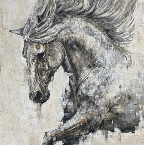 David Lloyd Collins, Park Gallery