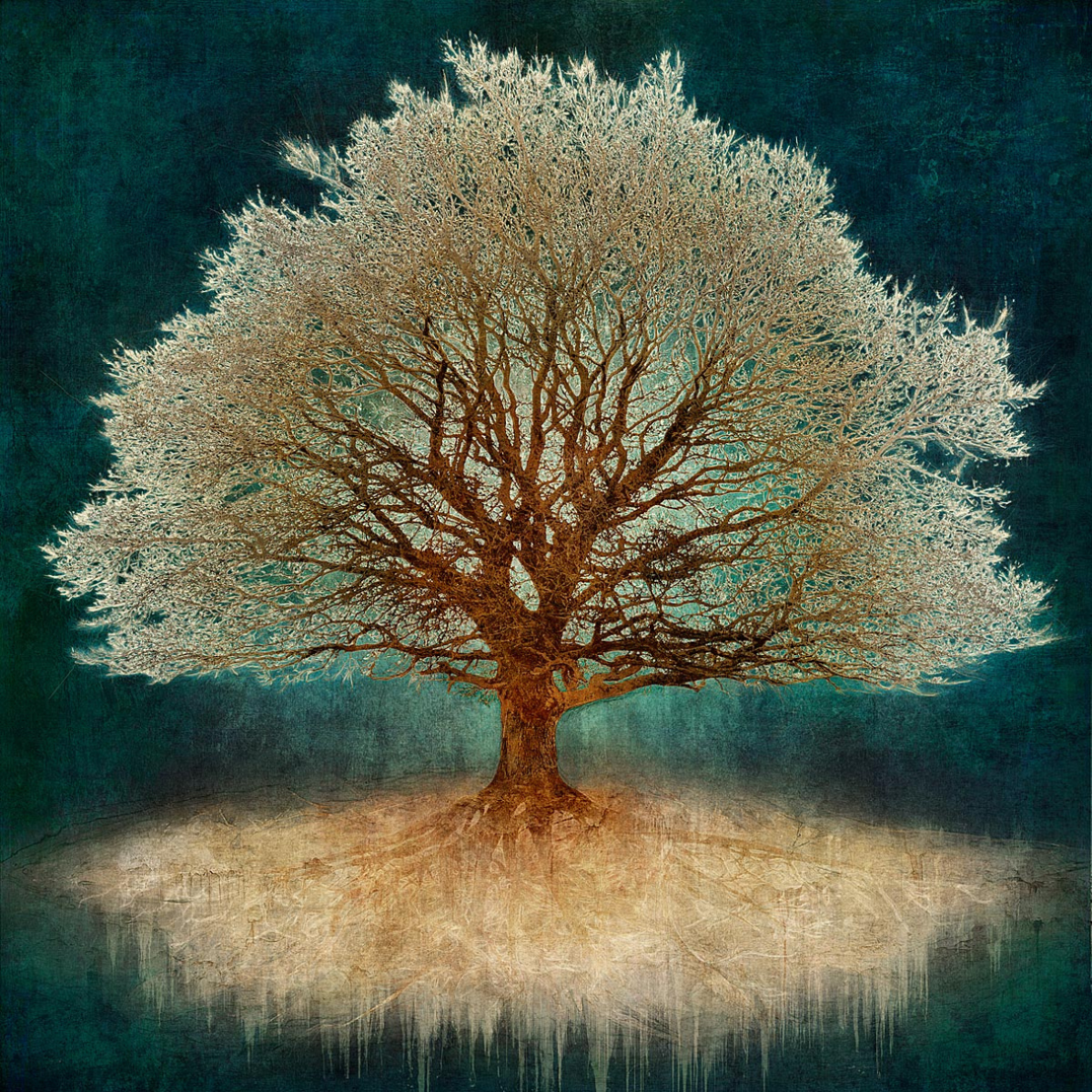 Francis Iles Gallery - Mark Munroe Preston