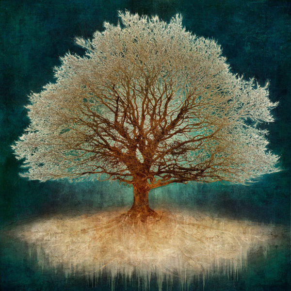 Francis Iles Gallery - Mark Munroe Preston