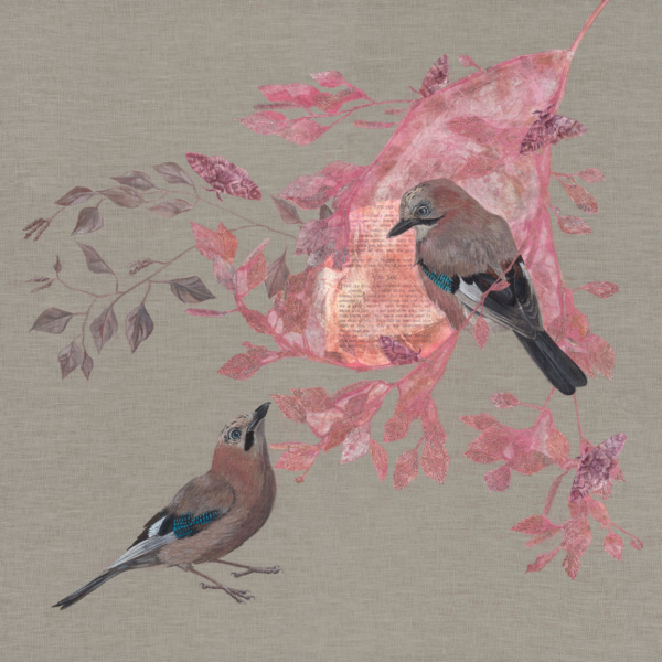 Jade Taylor, Francis Iles Gallery
