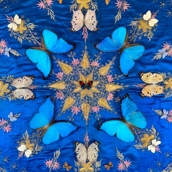 Wood & Wing, Tess Chodan